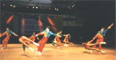 DM 1991 Bodenschleuder