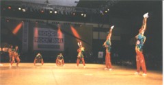 DM 1991 Hoher Taucher