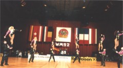 WM 1992 eingest. kleiner Taucher