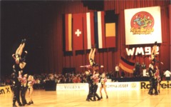 WM 1992 Freier Dualsalto